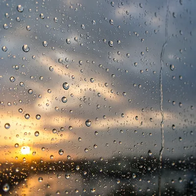 Rain Drops on Window at Golden Hour
