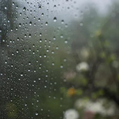 Rain Droplets on Window with Blurred Garden