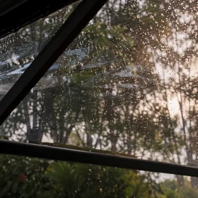 Rain Drops on Window with Blurred Trees