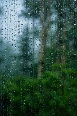 Rain Droplets on Window with Blurred Forest