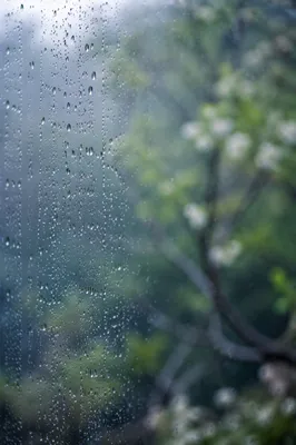 Rain Droplets on Window with Spring Bokeh
