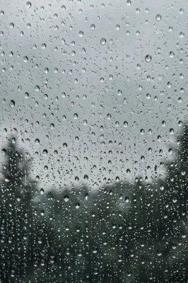 Rain Droplets on Blurred Window Glass