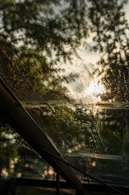 Rain Droplets on Window with Blurred Trees