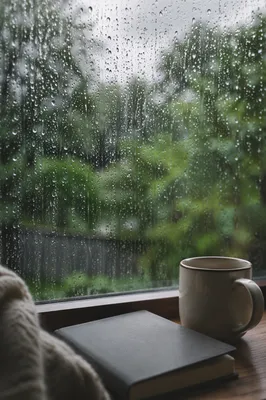 Rain Drops on Window for Quiet Reflection