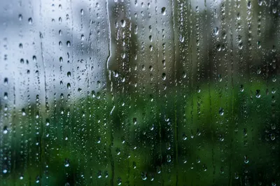 Rain Drops on Blurred Forest Window