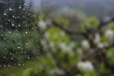 Rain Droplets on Window with Blurred Garden