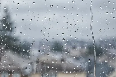 Rain Droplets on Window in Soft Focus