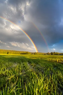 Hopeful Double Rainbow Over Green Field