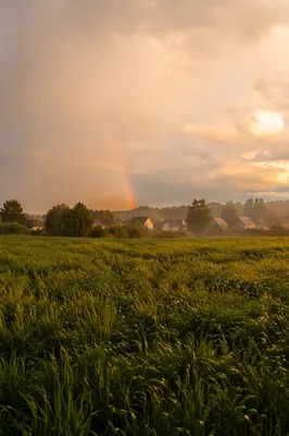 Rainbow Over Green Field After Rain