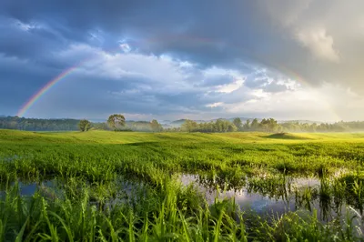 Hopeful Rainbow Over Rain-Washed Green Field