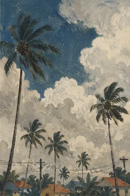Dramatic Tropical Palms Beneath Cloudy Blue Sky