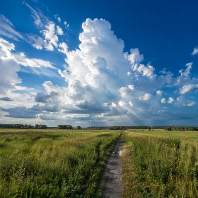 Dramatic Blue Sky Over Spring Meadow