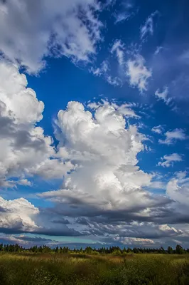 Dramatic Blue Sky and White Clouds