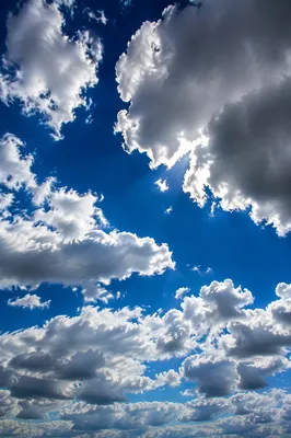 Dramatic Cumulus Clouds in Cobalt Sky