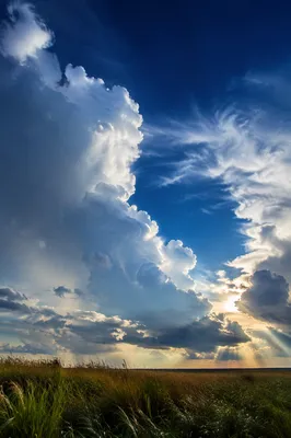 Dramatic Blue Sky Over Peaceful Meadow