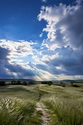 Dramatic Blue Sky Over Spring Meadow