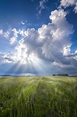 Dramatic Blue Sky Over Peaceful Meadow