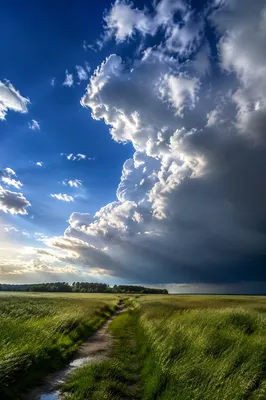 Dramatic Blue Sky Over Spring Meadow