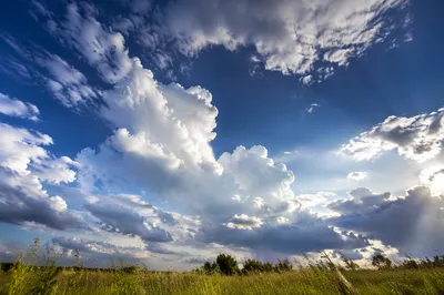 Dramatic Blue Sky Over Peaceful Meadow