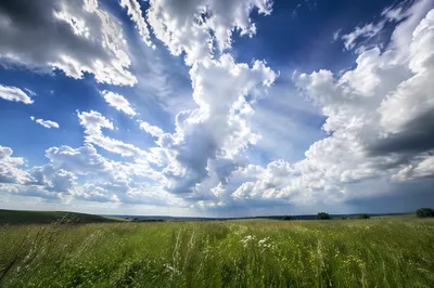 Dramatic Blue Sky Over Peaceful Meadow