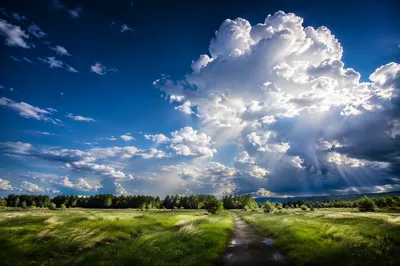 Dramatic Blue Sky Over Peaceful Meadow