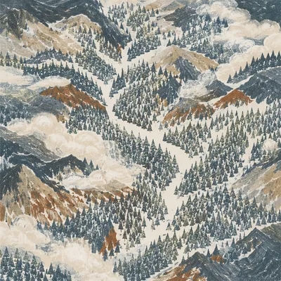 Aerial Snow Covered Pine Forest Patterns