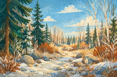 Snow Covered Pine Trees Winter Clearing