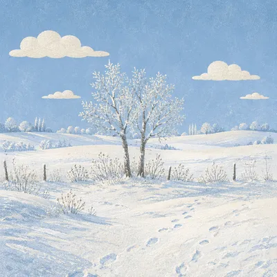 Quiet Snowy Field with Frosted Trees