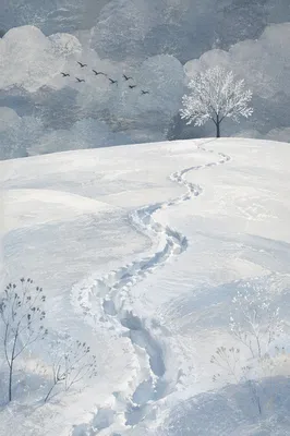 Quiet Snowfield Trail Under Winter Sky