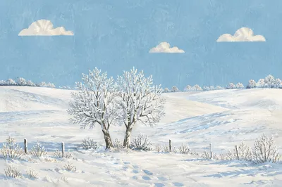 Serene Snowy Field with Frosted Trees