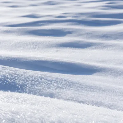 Serene White Snowdrift Winter Landscape