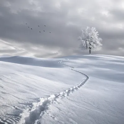 Solitary Snow Trail Under Winter Clouds