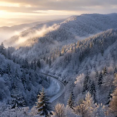 Serene Snowy Forest Hills at Dawn