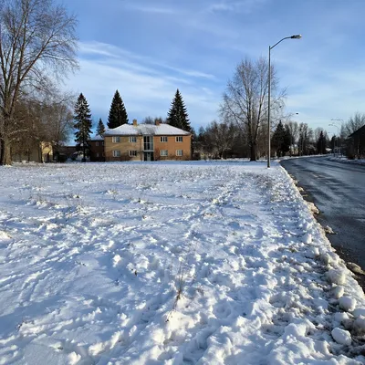 Quiet Snowy Suburban Winter Landscape