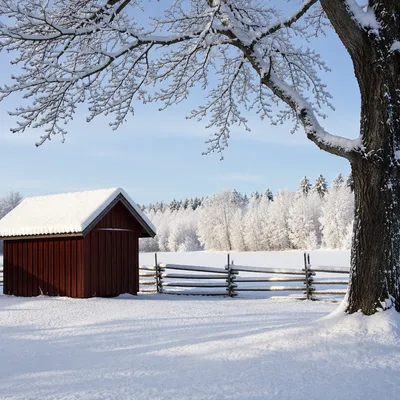 Snowy Winter Countryside Shed and Bare Tree
