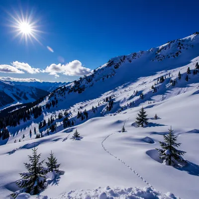 Reverent Alpine Snowfields Under Winter Sun