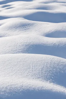 Serene Wind Carved Winter Snowdrifts