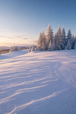 Pristine Snowy Hills at Winter Sunrise