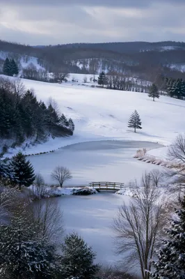 Quiet Snowy Winter Parkland with Footbridge