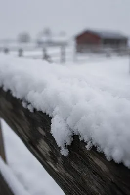 Fresh Snow on Weathered Wooden Fence
