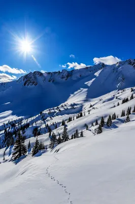 Reverent Alpine Snowfields Under Sapphire Sky
