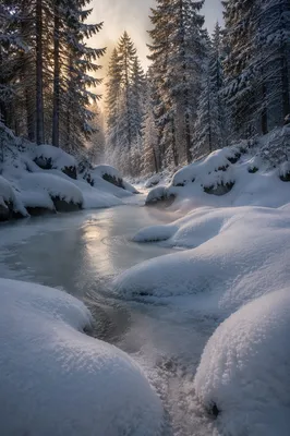 Quiet Snowy Woodland Stream at Dawn