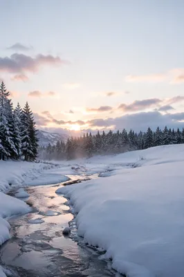 Snowy Winter Valley at First Light