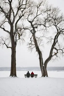 Quiet Snowy Park Bench at Frozen Lakeside