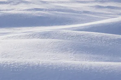 Serene White Snowdrifts in Winter Light