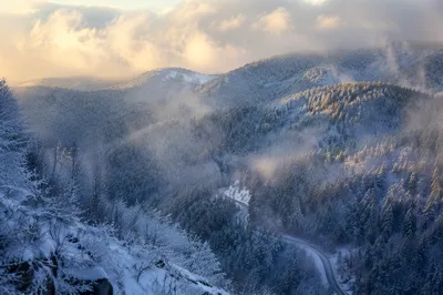 Serene Snowy Forest Hills at Sunrise