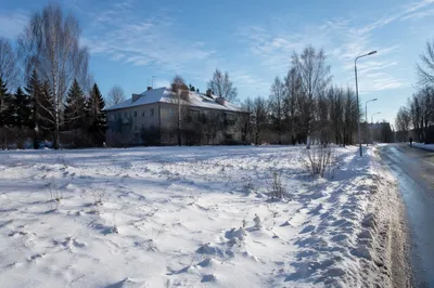 Quiet Snowy Suburban Winter Landscape