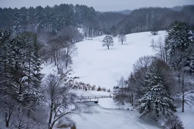 Quiet Snowy Parkland with Frozen Footbridge