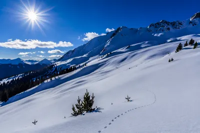 Reverent Alpine Snowfield Under Winter Sun