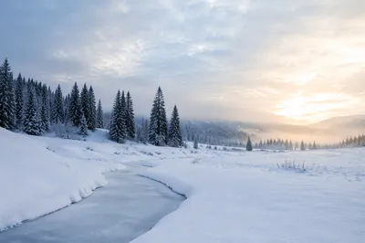 Snowy Winter Landscape with Frozen Stream